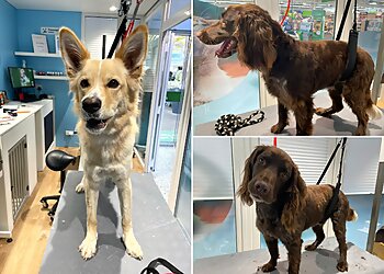 Fressnapf Bielefeld image Fressnapf Bielefeld