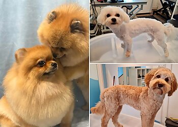 Fressnapf Gelsenkirchen image Fressnapf Gelsenkirchen