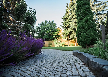 Garten Theim image Garten Theim