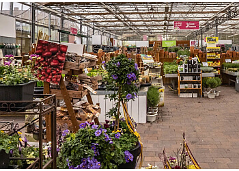 Die 3 besten Blumenläden in Münster Expertenempfehlungen