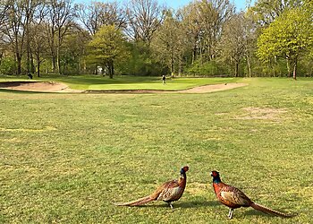 Golf & Country Club Hamburg-Treudelberg e.V. image Golf & Country Club Hamburg-Treudelberg e.V.