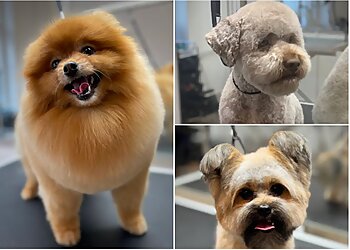 GroomRoom Berlin GmbH image GroomRoom Berlin GmbH