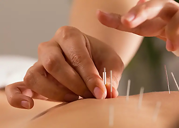 HNO Praxis Halabi photo HNO Praxis Halabi