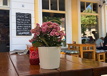 HaNa Tran photo HaNa Tran