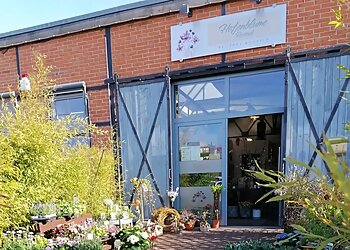 Hafenblume Rostock photo Hafenblume Rostock