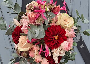 Hafenblume Rostock image Hafenblume Rostock