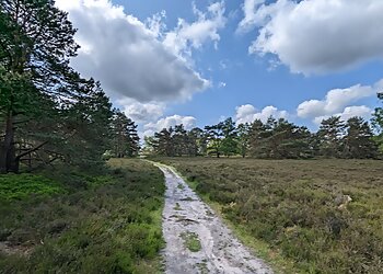 Heidschnuckenweg Etappe 1 photo Heidschnuckenweg Etappe 1