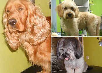 Heike's Hundepflege image Heike's Hundepflege