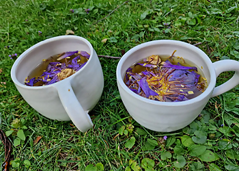 Heilkunde der neuen Zeit photo Heilkunde der neuen Zeit