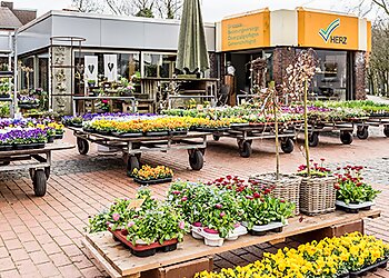 Herz Gärtnerei und Floristik, Steinmetzbetrieb photo Herz Gärtnerei und Floristik, Steinmetzbetrieb