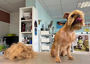 HundeSalon FellKinder photo HundeSalon FellKinder