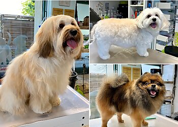 HundeSalon FellKinder image HundeSalon FellKinder