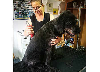 Hundefriseur Momo Nürnberg