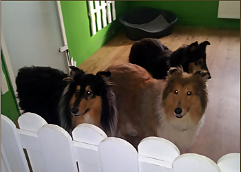 Hundepension Zu Fuchswinkel photo Hundepension Zu Fuchswinkel
