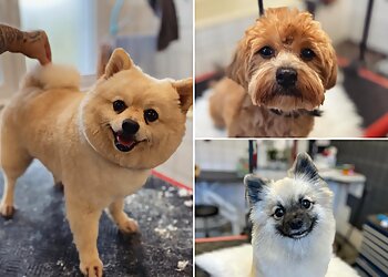 Hundesalon Braun image Hundesalon Braun