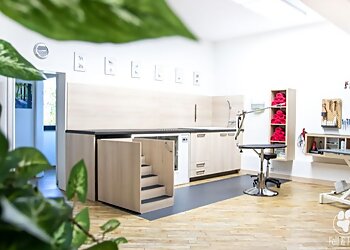 Hundesalon Fell & Pfote photo Hundesalon Fell & Pfote