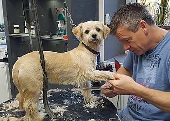 Hundesalon Fell & Pfote image Hundesalon Fell & Pfote