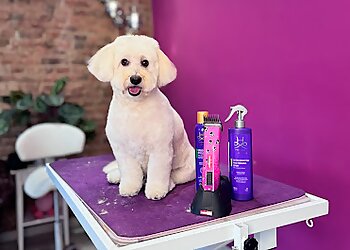 Hundesalon Fellmeister by Francisco photo Hundesalon Fellmeister by Francisco