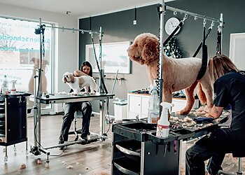 Hundesalon Fellwechsel photo Hundesalon Fellwechsel