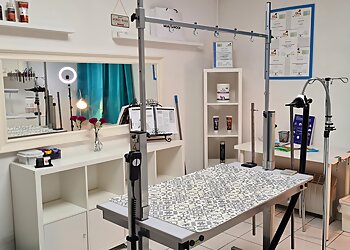 Hundesalon Hitschie photo Hundesalon Hitschie