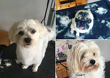 Hundesalon Hundeliebe image Hundesalon Hundeliebe