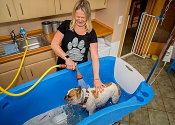 Hundesalon La Bello Dresden photo Hundesalon La Bello Dresden