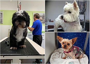 Hundesalon Laim Nymphenburg image Hundesalon Laim Nymphenburg