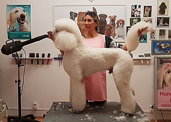 Hundesalon Lilly photo Hundesalon Lilly