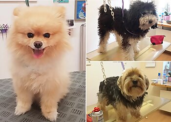 Hundesalon Lilly image Hundesalon Lilly