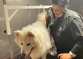 Hundesalon Lou’s Lounge photo Hundesalon Lou’s Lounge