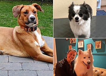 Hundesalon Lou’s Lounge image Hundesalon Lou’s Lounge