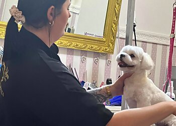 Hundesalon Montiago photo Hundesalon Montiago