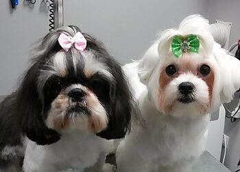 Hundesalon Oscar photo Hundesalon Oscar