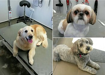 Hundesalon Oscar image Hundesalon Oscar