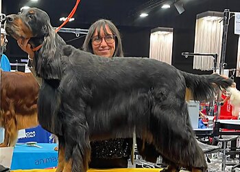 Hundesalon Pfotentreff photo Hundesalon Pfotentreff