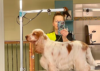 Hundesalon Pfotentreff image Hundesalon Pfotentreff