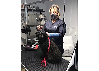 Hundesalon Spafordogs photo Hundesalon Spafordogs