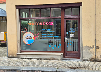Hundesalon Spafordogs