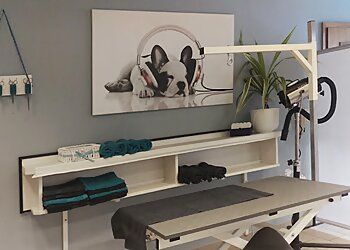 Hundesalon Victoria photo Hundesalon Victoria