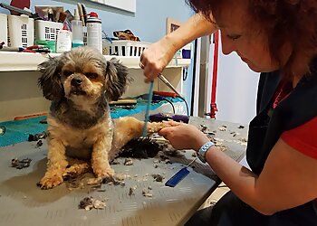 Hundesalon Victoria image Hundesalon Victoria