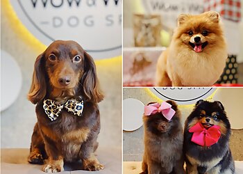 Hundesalon Wow&Woof image Hundesalon Wow&Woof