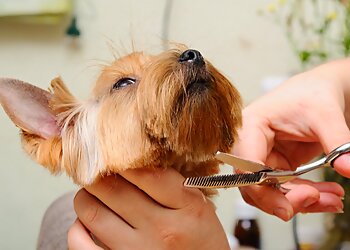 Hundesalon jeFELLt photo Hundesalon jeFELLt