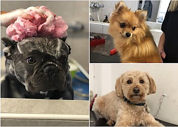 Hundesalon jeFELLt image Hundesalon jeFELLt