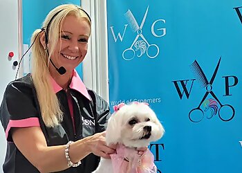 Hundesalon und Hundefriseurschule Noll photo Hundesalon und Hundefriseurschule Noll