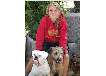 Hundezentrum Canidos Dortmund Hundezentrum Canidos Dortmund