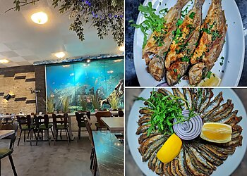 Ihtiyar Balıkçı image Ihtiyar Balıkçı