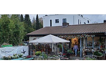 ImmerGrün Floristikfachgeschäft photo ImmerGrün Floristikfachgeschäft