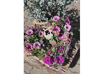 ImmerGrün Floristikfachgeschäft image ImmerGrün Floristikfachgeschäft