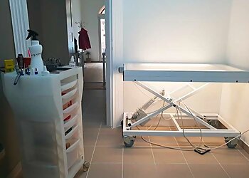 Irina Hundesalon photo Irina Hundesalon