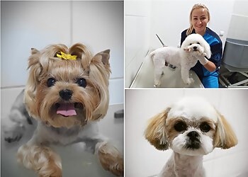 Irina Hundesalon image Irina Hundesalon